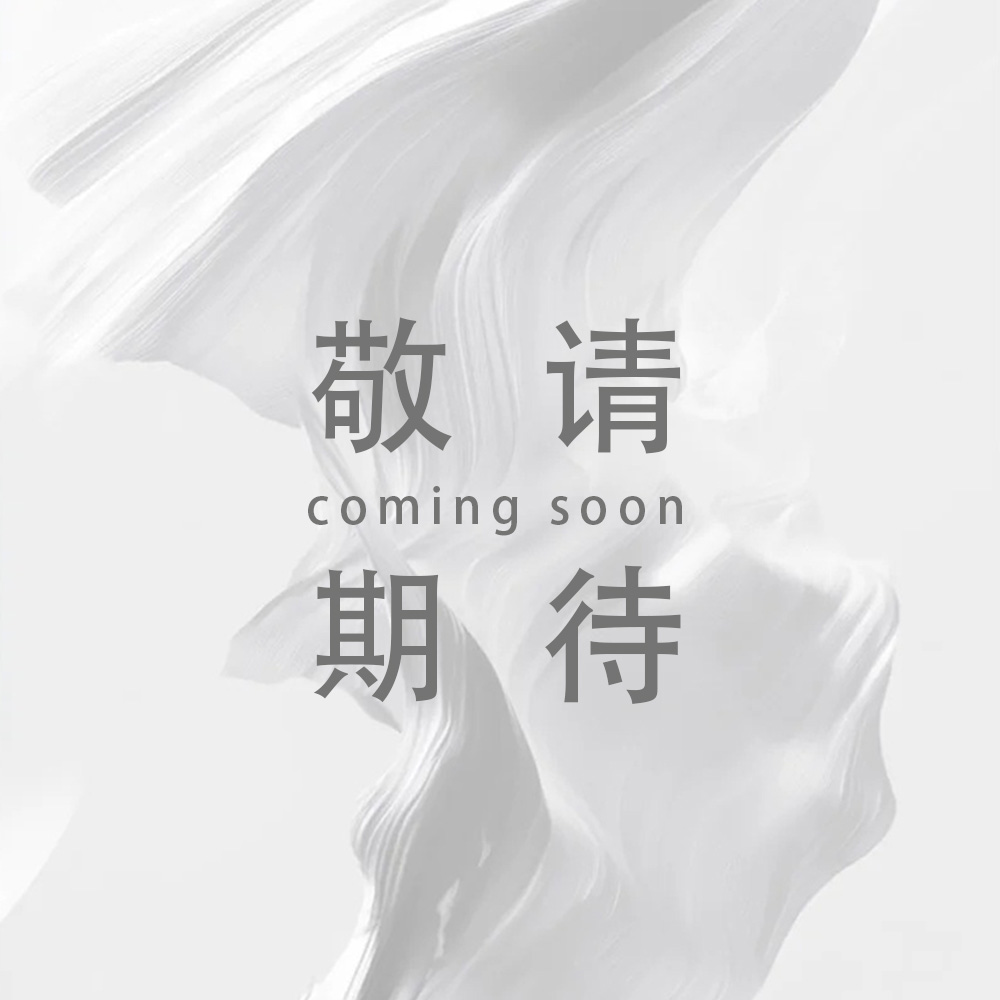 敬请期待